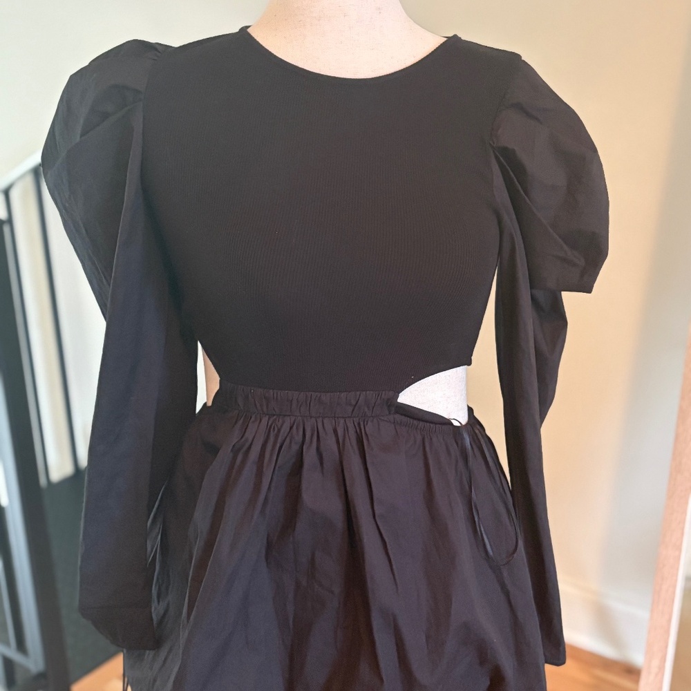 NWT Zara dress